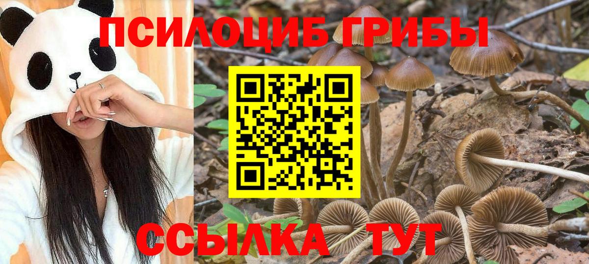Тихвин  Галлюциногенные грибы GOLDEN TEACHER  Вход с VPN 